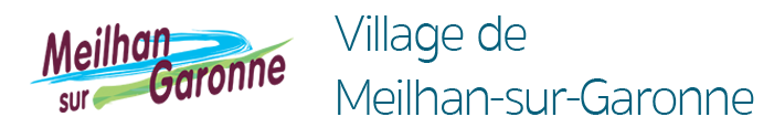 logo msg vo5